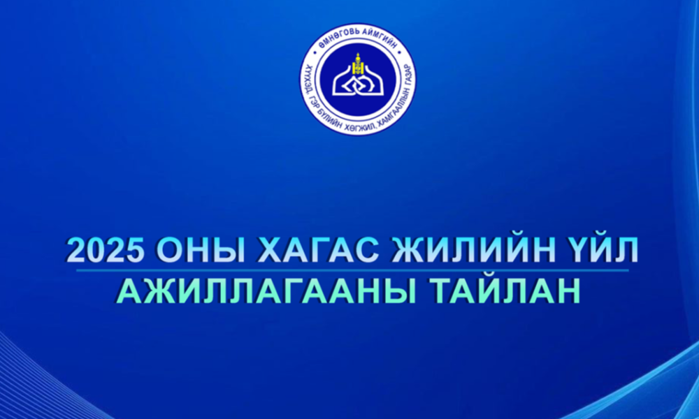 Хяналт шинжилгээ үнэлгээ хариуцсан мэргэжилтэн